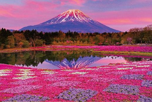 【予約3月】1000マイクロピース ジグソーパズル 夕陽に染まる富士