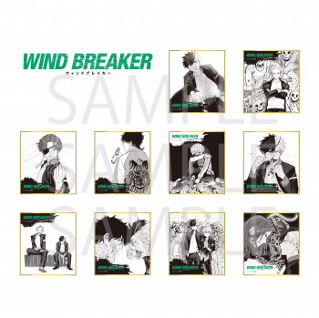 【予約2022年4月再販】WIND BREAKER トレーディング ミニ色紙 10個入りBOX UWA