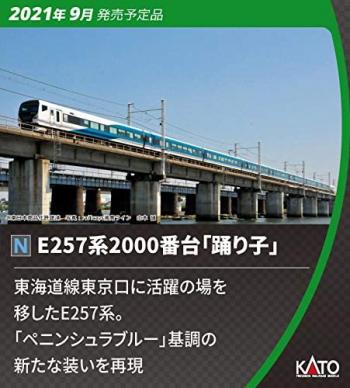 【予約2021年9月】E257系2000番台「踊り子」 9両セット 10-1613 KATO