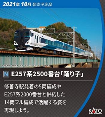 【予約2021年10月】E257系2500番台「踊り子」 5両セット 10-1614 KATO