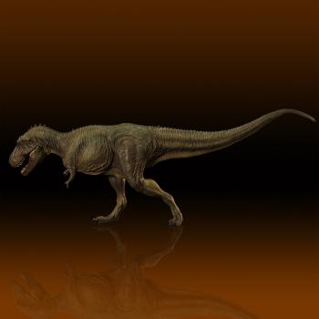 【予約2024年07月】ティラノサウルス タイプB ミドル ソフビキット復刻版 海洋堂