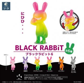 【予約2024年03月】BLACK RABBiT6 6個入りBOX SO-TA