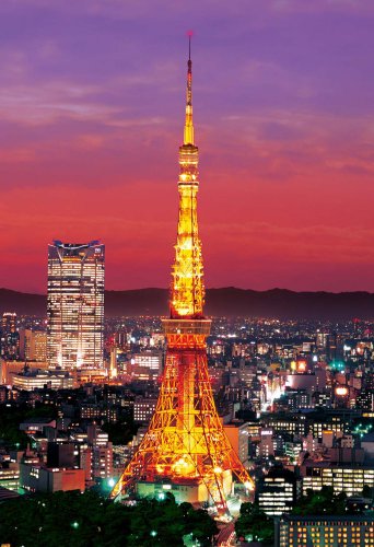 300ピース ジグソーパズル 東京タワー ライトアップ (26x38cm)【送料込み】