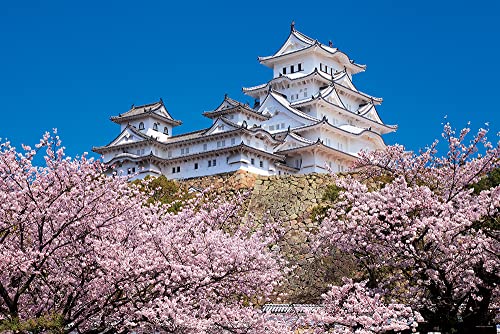 1000ピース ジグソーパズル 千の桜と姫路城 (兵庫) (50ｘ75cm)【送料込み】