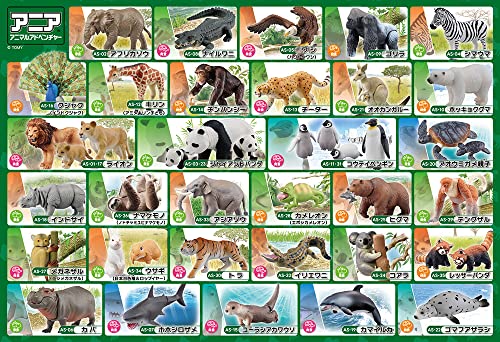 【日本製】ビバリー 80ピースジグソーパズル アニア動物のひみつ（26×38?）80-038【送料込み】