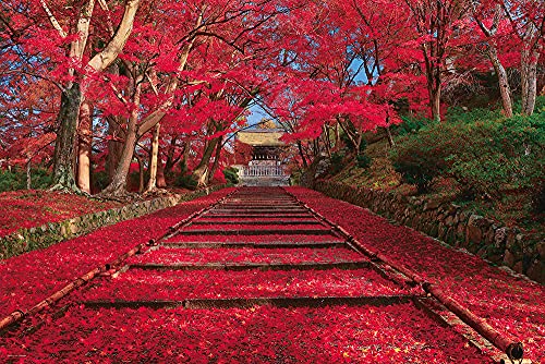 1000ピース ジグソーパズル 秋色の紅葉参道 (京都) (50ｘ75cm)【送料込み】